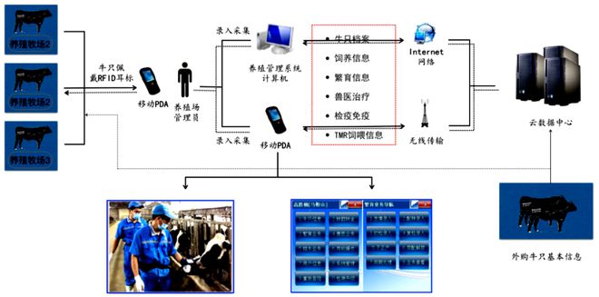 喜訊！中恒國科榮獲中國動物疫病預防控制中心耳標生產廠商認定，助推網絡信息技術推廣服務