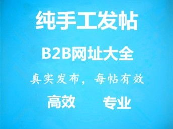 智能代發(fā)品牌宣傳廣告服務 天津網站建設與網絡信息技術推廣新篇章